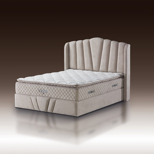 Beige - Sanky